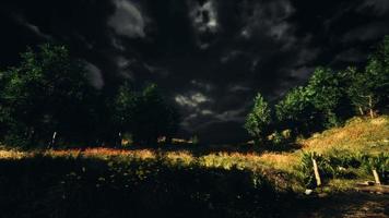 Thunderstorm clouds with lightning in green meadow video