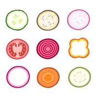 Vector set of different slices of vegetables. Vector illustration of vegetables in a cut. Collection of decorative food items.