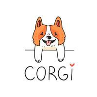 Cute corgi dog character looking out from behind an obstacle with text. Vector illustration.