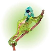 Chameleons that crawl on trees or branches. likes to eat insects and has a long tongue low poly vector