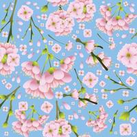 Cherry Blossom Seamless Pattern Concept vector