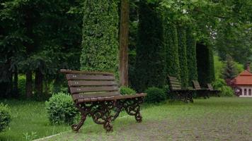 hermoso parque verde en la temporada de primavera verano. banco de madera naturaleza fondo verde. video