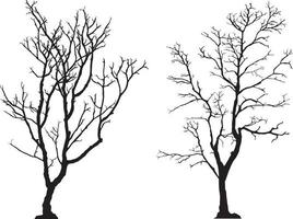 silhouette of tree without leaves vector