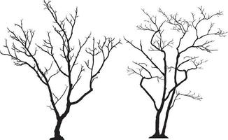 silhouette of tree without leaves vector