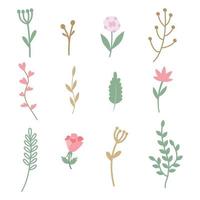 Set of simple uncomplicated twigs and flowers in a cozy rustic style. Vector illustration for design, decoration of postcards, invitations.