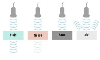 atenuación de ondas ultrasónicas de diferentes tejidos, incluidos fluidos, tejidos blandos, huesos, aire vector