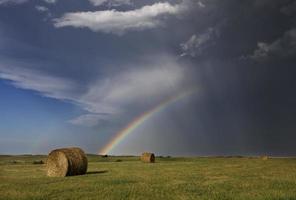 pradera granizo tormenta y arcoiris foto