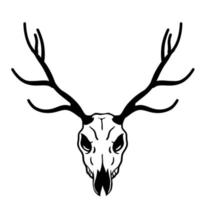 Skull of deer. Hunting trophy with horns. Antler of stag or reindeer. Scary black and white drawing for Halloween. vector