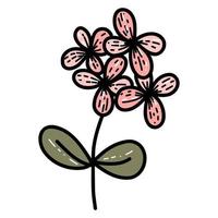 Floral spring wild flower isolated flat illustration. vector