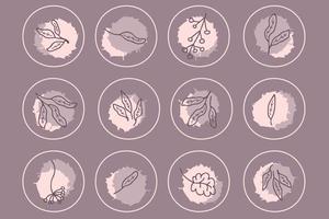 Delicate highlight icons set with doodle leaves and grunge spots. vector