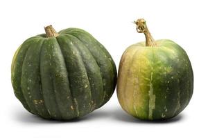 Two green pumpkins isolated on white with shadows photo