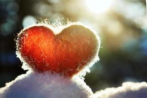 Red wool felted heart stands on the snow and backlighted by setting winter sun photo