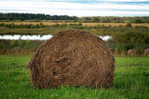 Summer landscape with a hay bale on the green meadow in front of a river in summer evening photo