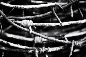 Rusty barbed wire reeled up on the post. Black and white photo