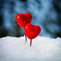 Red Valentine lollipops hearts on the white real snow outdoors photo