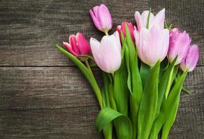 flores de tulipanes de primavera