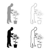 hombre cuidando la planta de marihuana en la olla rociando agua usando aspersores de mano riego jardinería cosecha concepto en casa silueta gris negro color vector ilustración contorno sólido estilo imagen