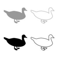 pato macho ánade real pájaro ave acuática aves acuáticas aves de corral bulo silueta gris negro color vector ilustración contorno sólido estilo imagen