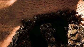 Luftaufnahme der Oase in der Wüste von oben nach unten video