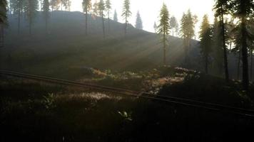 area ricreativa forestale nazionale e la nebbia con la ferrovia video