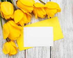 Spring tulips flowers and card photo