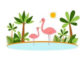 Exotic Flamingo birds standing in the water vector illustration