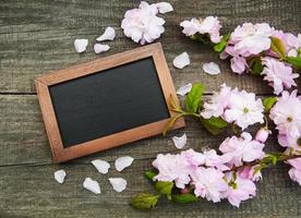 Sakura blossom with blackboard photo