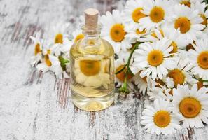 Essencial oil and camomile photo