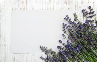 lavender flowers with card photo