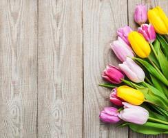 Spring tulips flowers photo