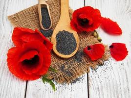 Poppy seeds and flowers photo