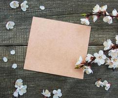 Spring apricot  blossom and card photo