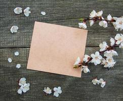 Spring apricot  blossom and card photo