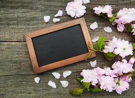 Sakura blossom with blackboard photo