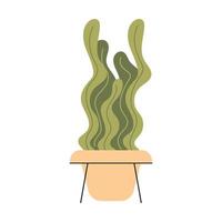 Flat vector isolated illustration of houseplant in a pot