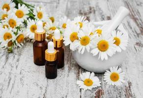 Essencial oil and camomile photo