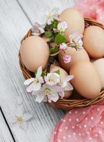 huevos de pascua y flor de manzano foto