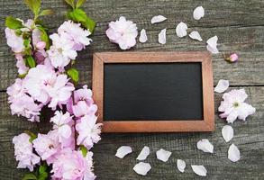 Sakura blossom with blackboard photo