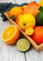 Fresh citrus fruits photo