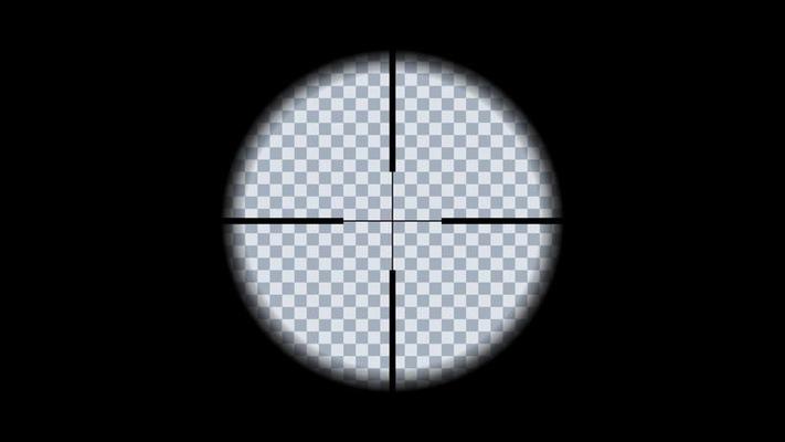Gun viewfinder. Sniper, hunting scope. Distance zoom. Vector illustration.