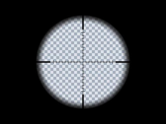 Gun viewfinder. Sniper, hunting scope. Distance zoom. Vector illustration.