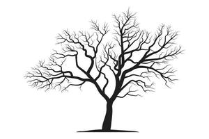 Scary dead tree silhouette image vector