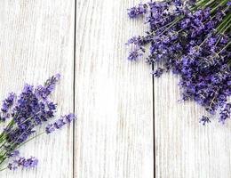 bunch of lavender photo