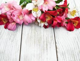 alstroemeria flowers on a table photo