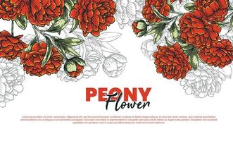 peony flower artwork vector