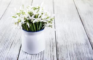 bouquet of snowdrops photo