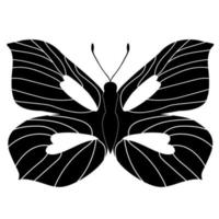 Butterfly insect silhouette outline on white background vector