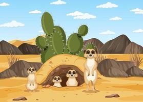 Fondo del desierto con un grupo de suricatas. vector