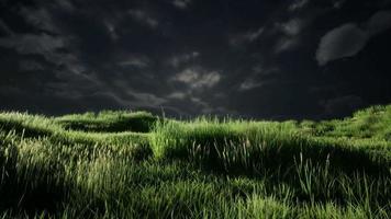 nuvole temporalesche sopra il prato con erba verde video