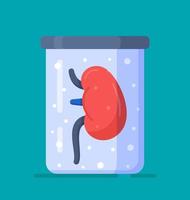 Vector illustration of a bionic kidney isolated on a blue background. Donate.